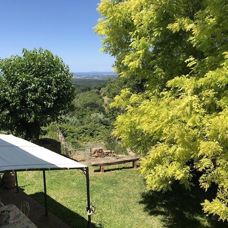 Haus Malerin - Meerblick, Umzaeunter Garten By Toscanatour Guardistallo Zewnętrze zdjęcie