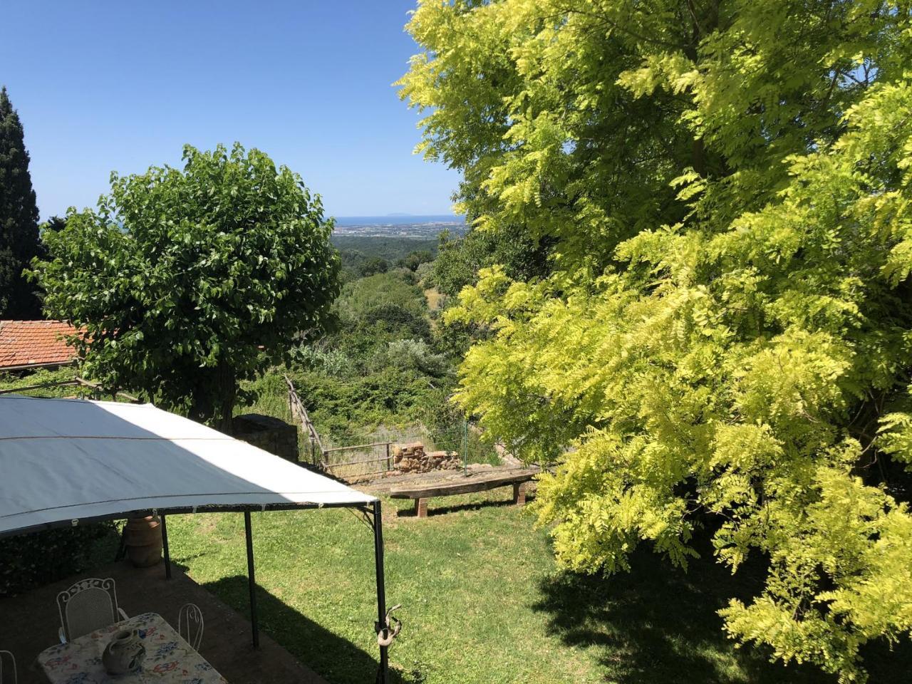 Haus Malerin - Meerblick, Umzaeunter Garten By Toscanatour Guardistallo Zewnętrze zdjęcie